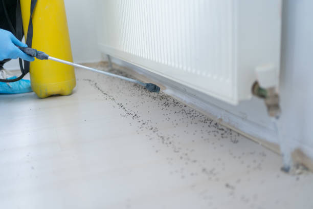 Best Best Pest Control Companies  in Slayton, MN